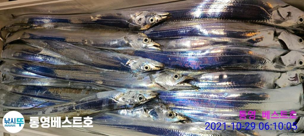 낚시뚜,갈치,풍화중부마을,통영 베스트호,낚시뚜21