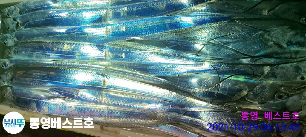 낚시뚜,갈치,풍화중부마을,통영 베스트호,낚시뚜0