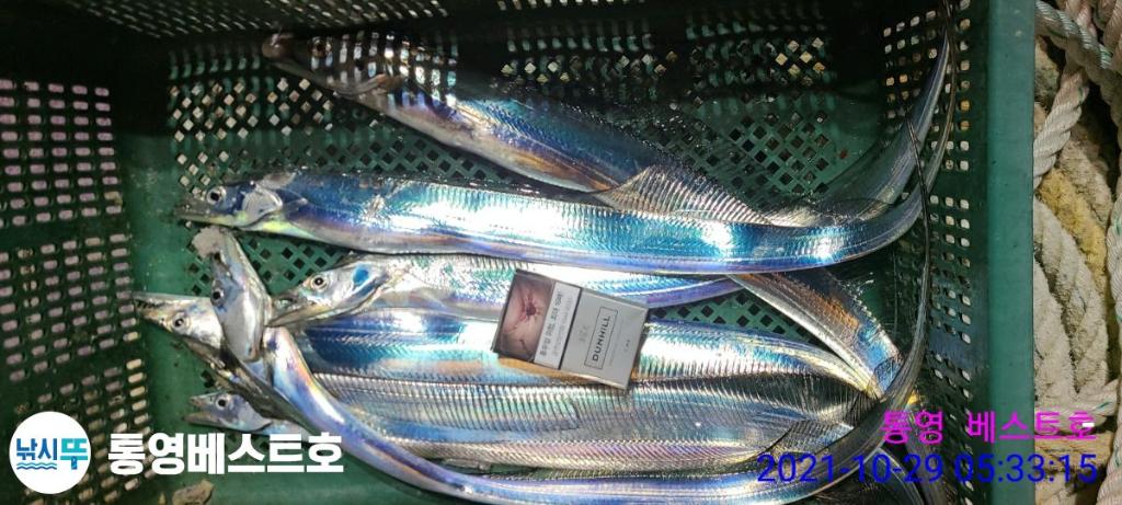 낚시뚜,갈치,풍화중부마을,통영 베스트호,낚시뚜19