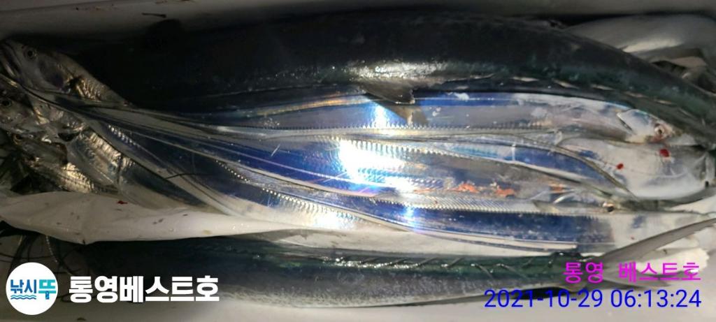 낚시뚜,갈치,풍화중부마을,통영 베스트호,낚시뚜18