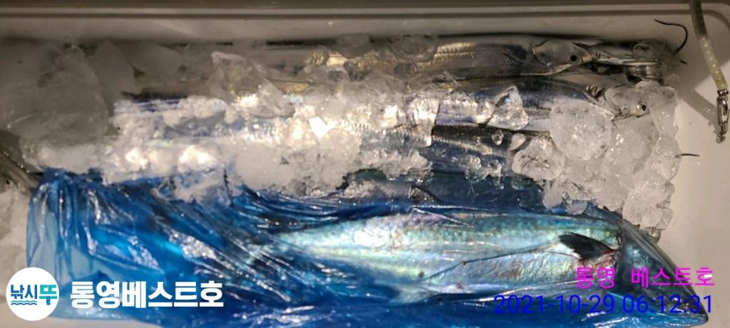 낚시뚜,갈치,풍화중부마을,통영 베스트호,낚시뚜15