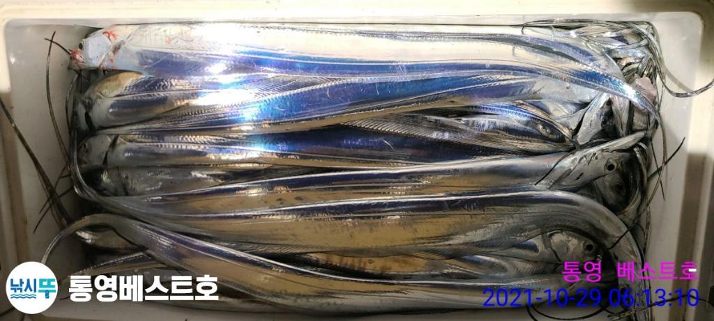 낚시뚜,갈치,풍화중부마을,통영 베스트호,낚시뚜11