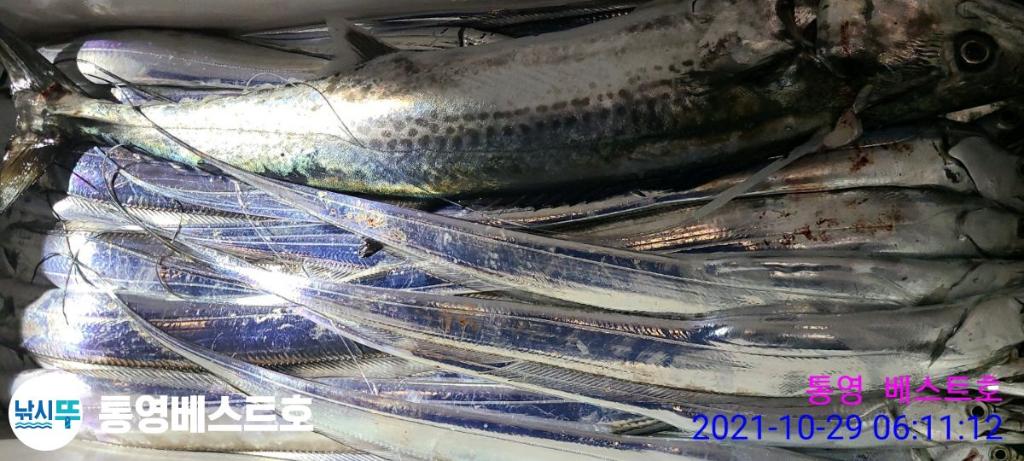 낚시뚜,갈치,풍화중부마을,통영 베스트호,낚시뚜5