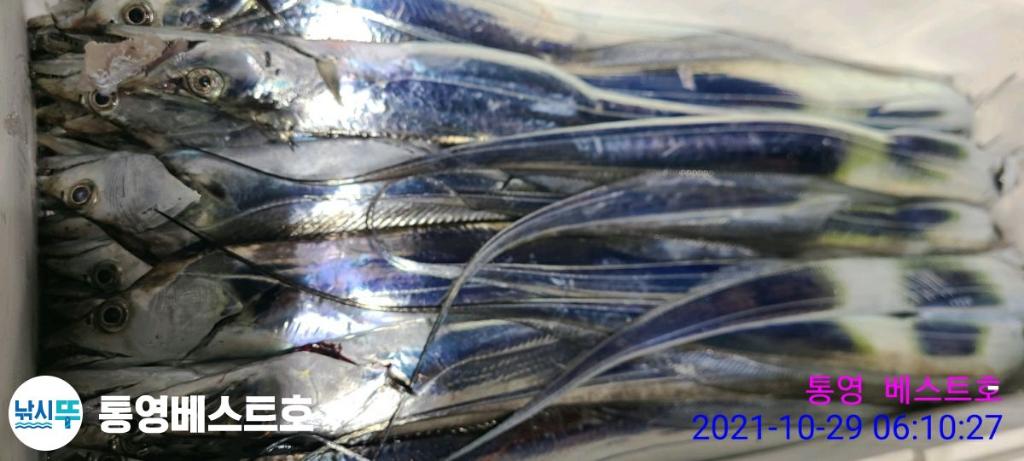 낚시뚜,갈치,풍화중부마을,통영 베스트호,낚시뚜3