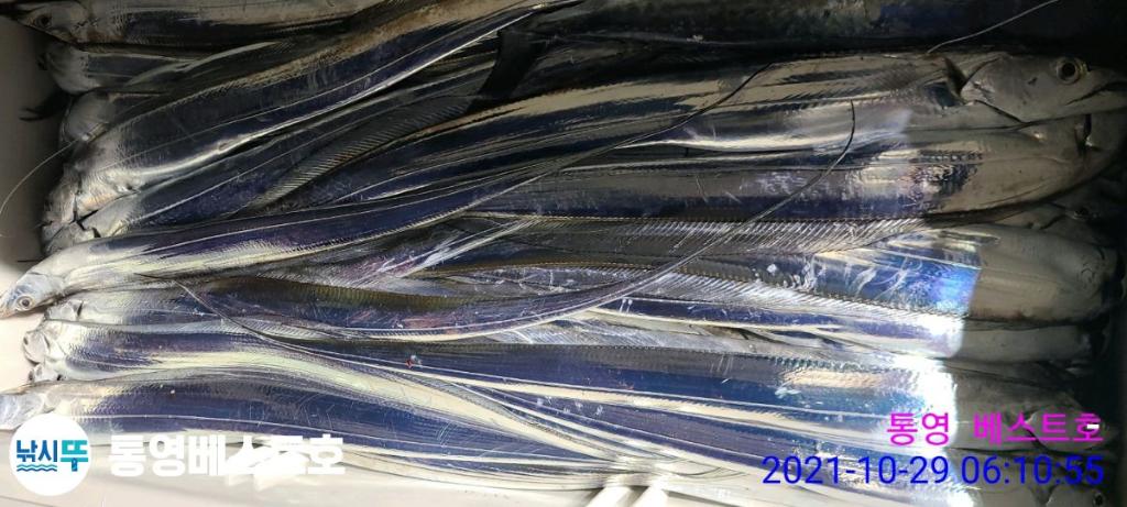 낚시뚜,갈치,풍화중부마을,통영 베스트호,낚시뚜2