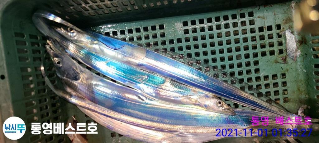 낚시뚜,갈치,풍화중부마을,통영 베스트호,낚시뚜23