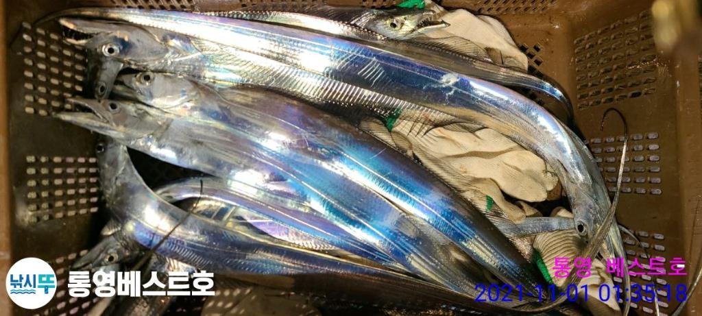 낚시뚜,갈치,풍화중부마을,통영 베스트호,낚시뚜20