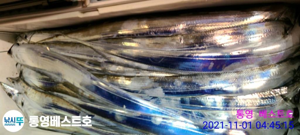 낚시뚜,갈치,풍화중부마을,통영 베스트호,낚시뚜16