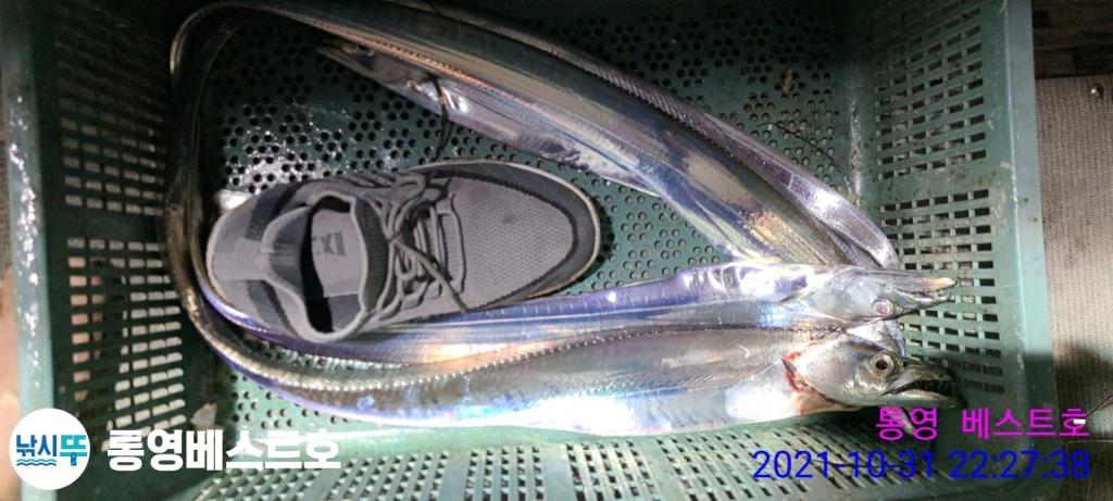 낚시뚜,갈치,풍화중부마을,통영 베스트호,낚시뚜11