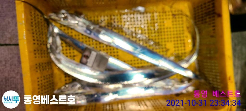 낚시뚜,갈치,풍화중부마을,통영 베스트호,낚시뚜7