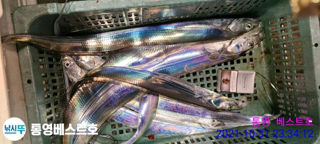 낚시뚜,갈치,풍화중부마을,통영 베스트호,낚시뚜6