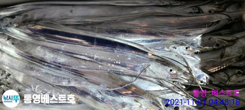 낚시뚜,갈치,풍화중부마을,통영 베스트호,낚시뚜2