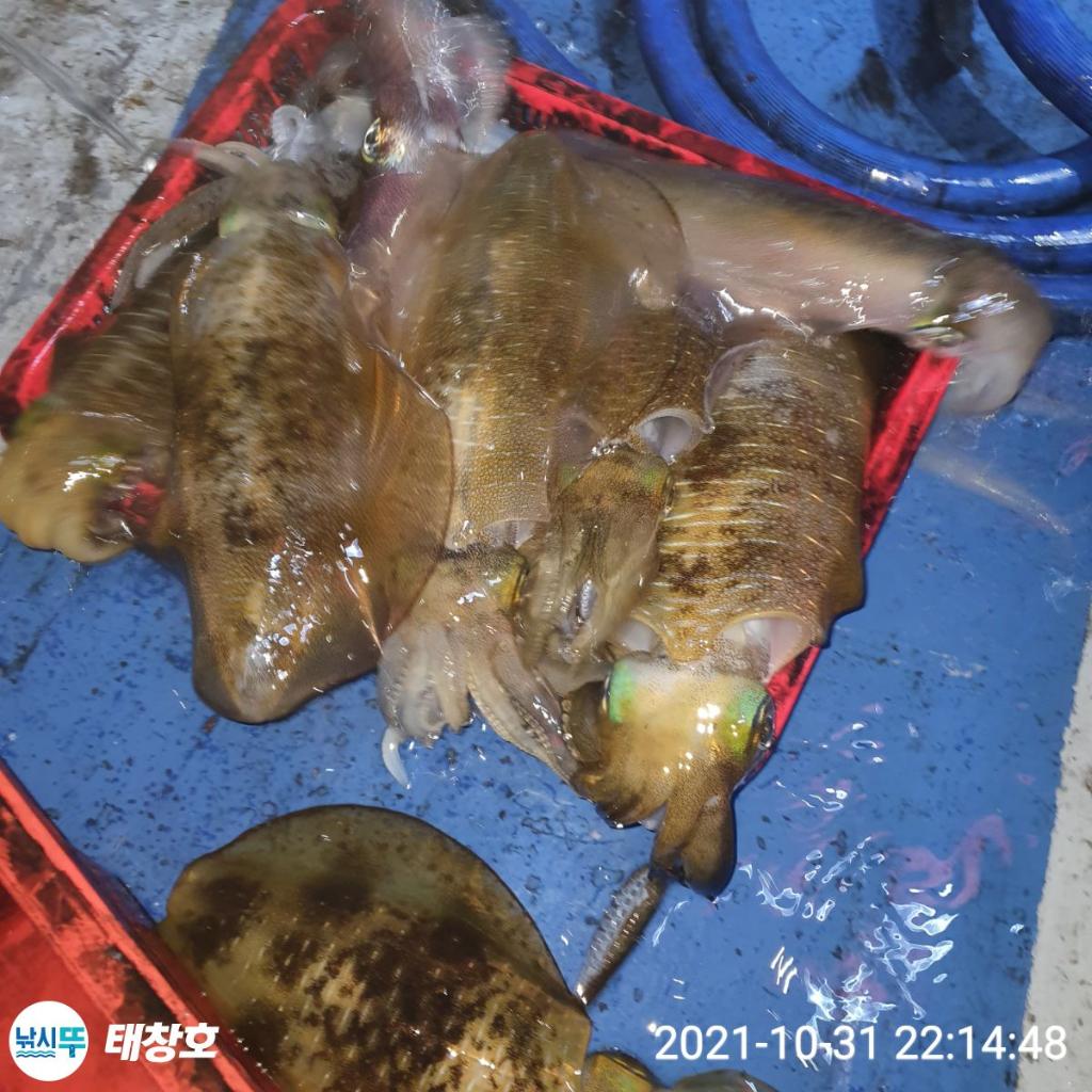 F1523632MN.jpg