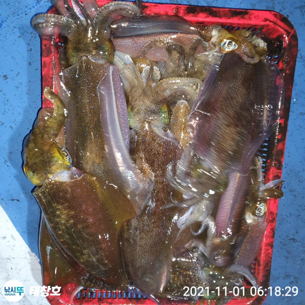 F1523947SX.jpg