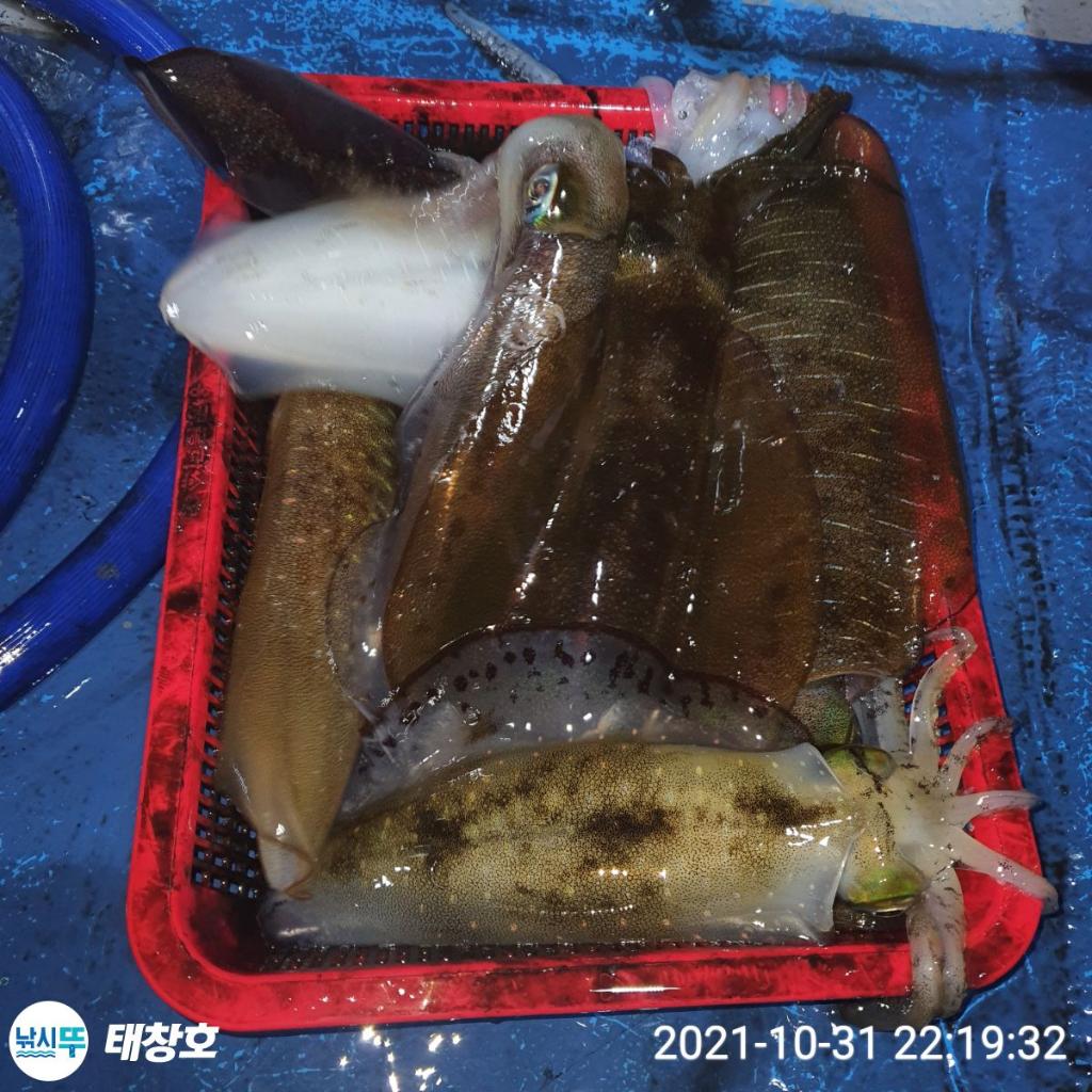 F15239533E.jpg