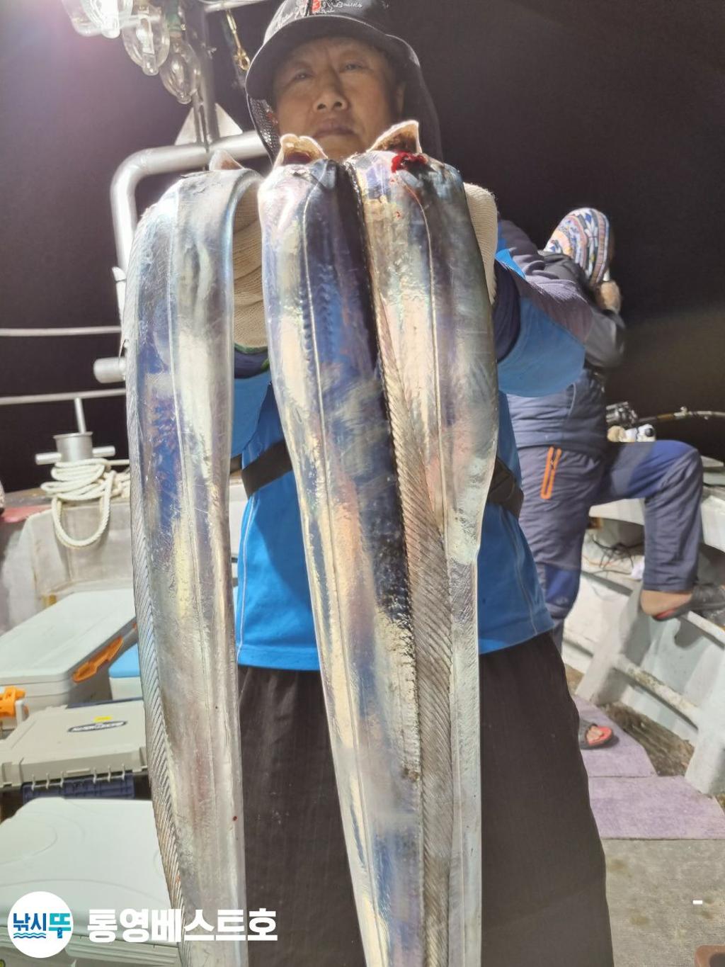 낚시뚜,갈치,풍화중부마을,통영 베스트호,낚시뚜8