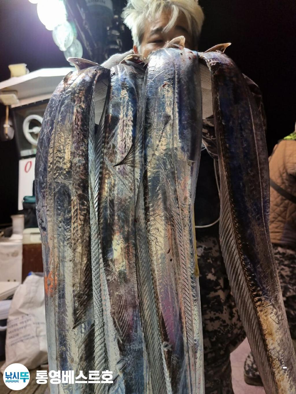 낚시뚜,갈치,풍화중부마을,통영 베스트호,낚시뚜3