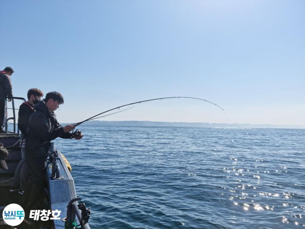 F15288938Q.jpg