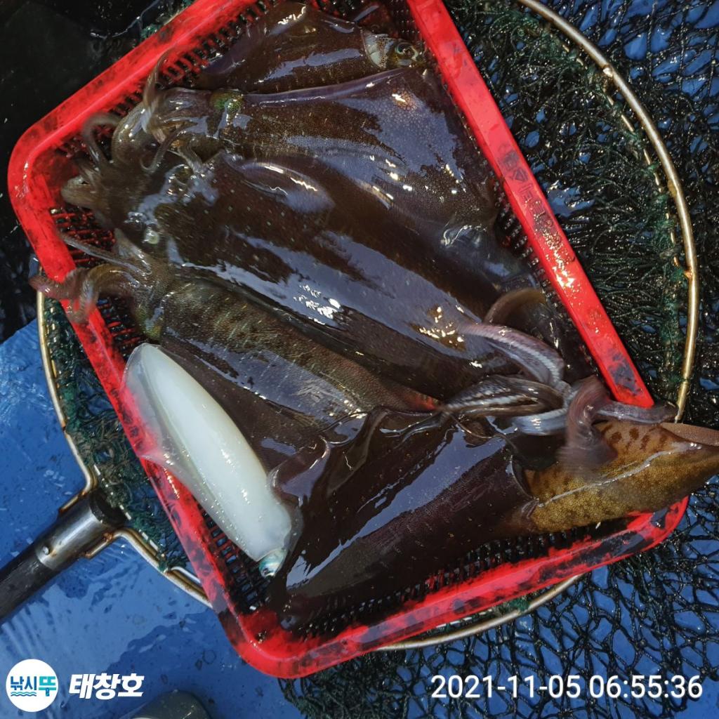 F1529913VN.jpg