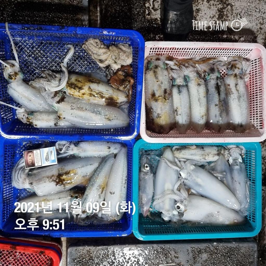 F1531592TY.jpg