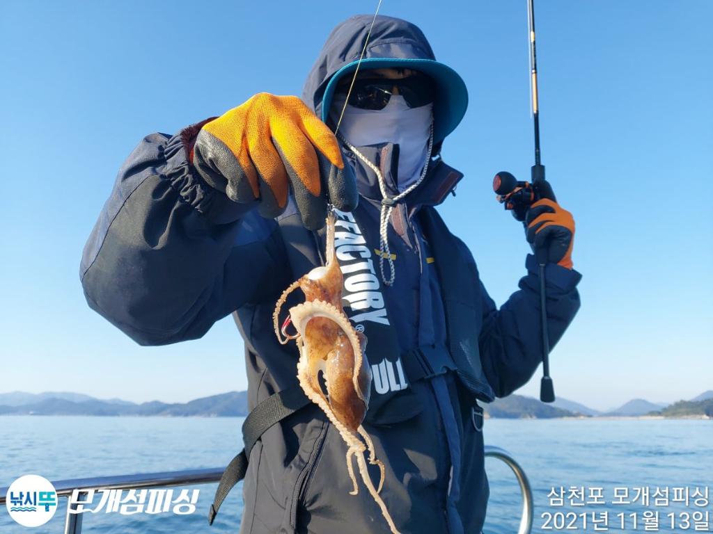 쭈꾸미가 천지삐까리!! 쫙쫙합니다.