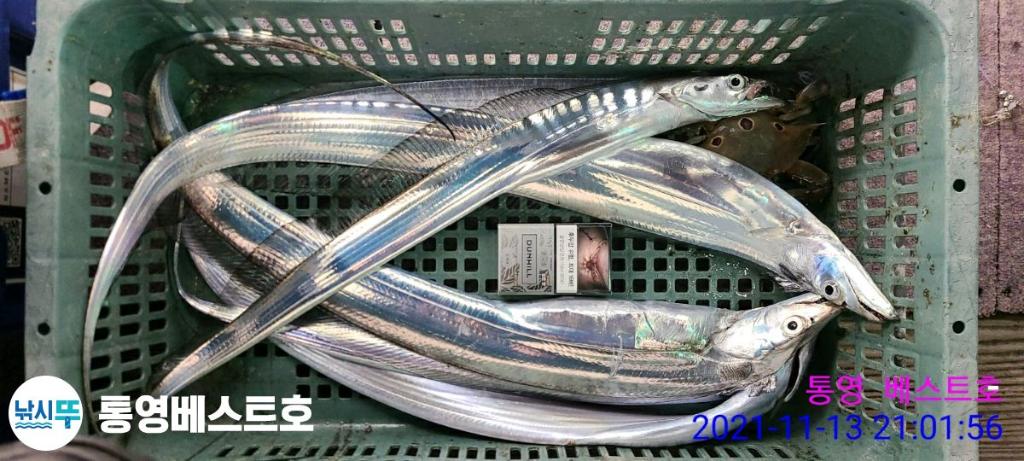 낚시뚜,갈치,풍화중부마을,통영 베스트호,낚시뚜9