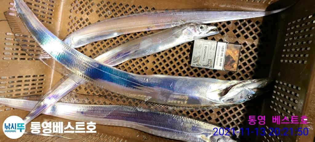 낚시뚜,갈치,풍화중부마을,통영 베스트호,낚시뚜3