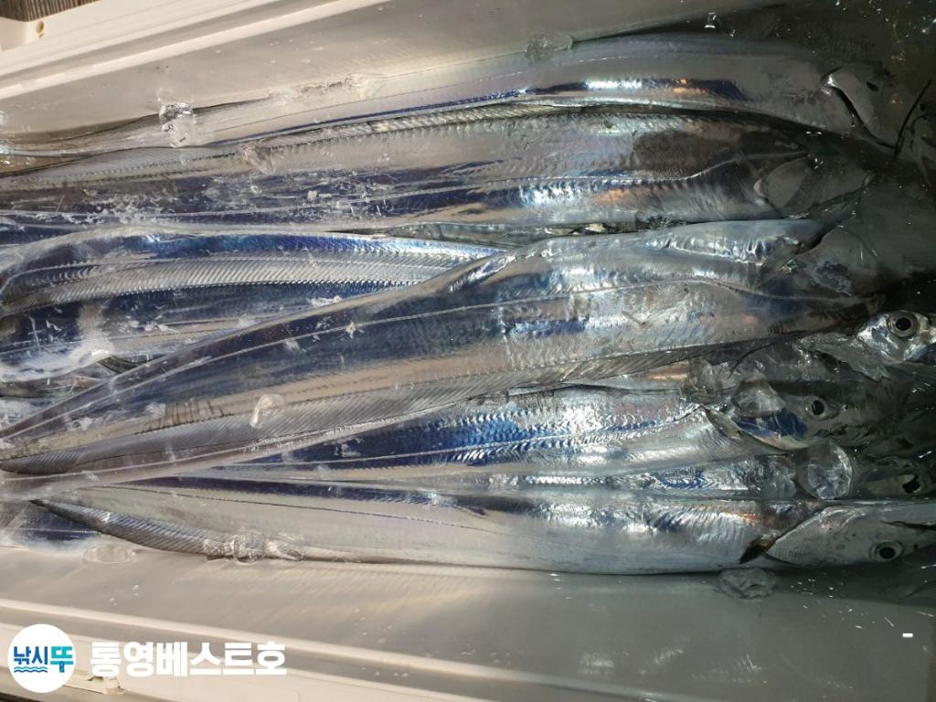 낚시뚜,갈치,풍화중부마을,통영 베스트호,낚시뚜2