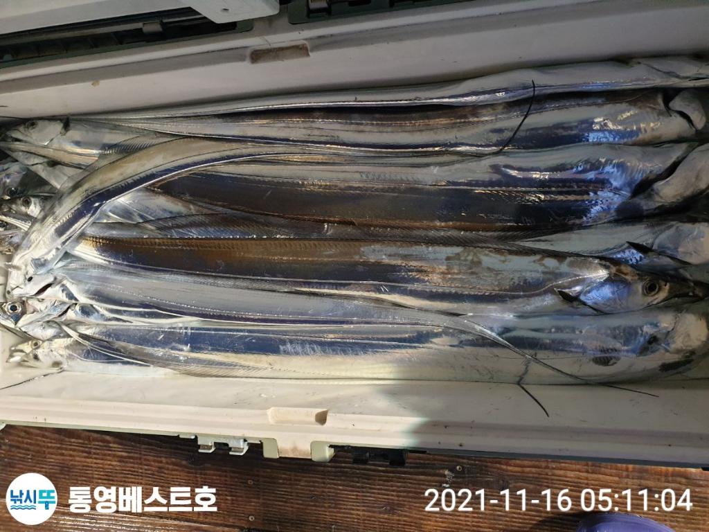 낚시뚜,갈치,풍화중부마을,통영 베스트호,낚시뚜1