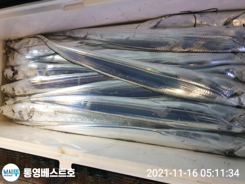 낚시뚜,갈치,풍화중부마을,통영 베스트호,낚시뚜0