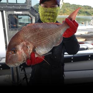 조황, 여수권 내만 타이라바 출항합니다!!