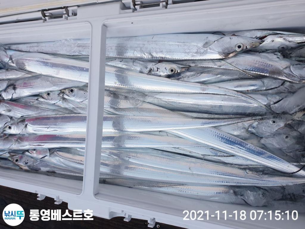 낚시뚜,갈치,풍화중부마을,통영 베스트호,낚시뚜5