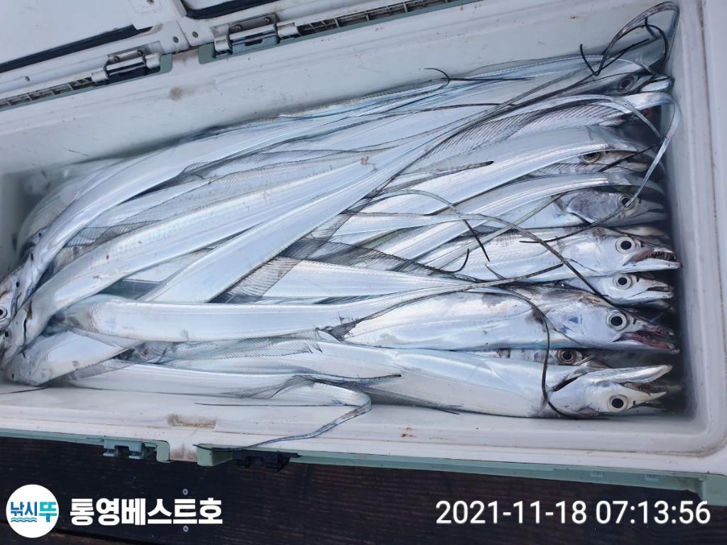 낚시뚜,갈치,풍화중부마을,통영 베스트호,낚시뚜2