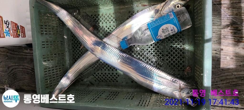 낚시뚜,갈치,풍화중부마을,통영 베스트호,낚시뚜28