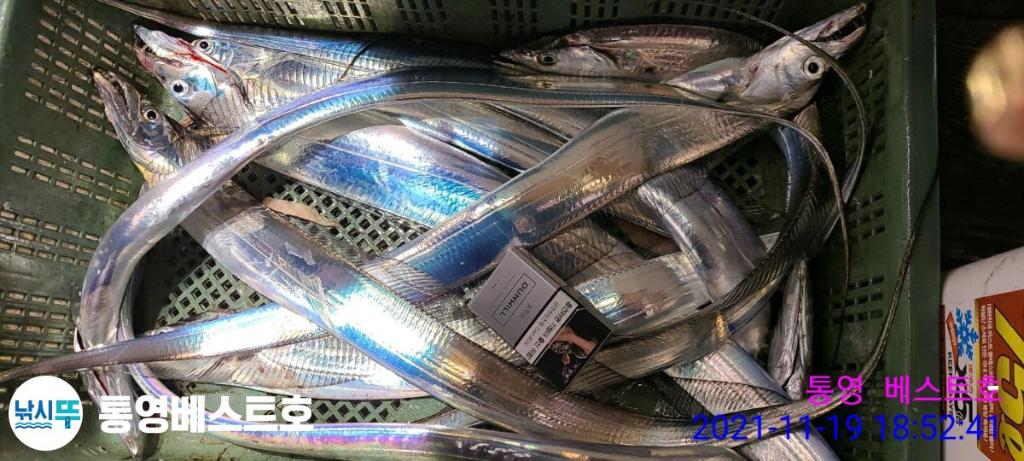 낚시뚜,갈치,풍화중부마을,통영 베스트호,낚시뚜27