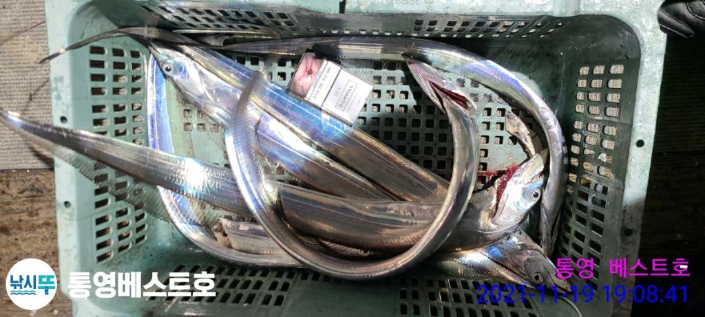 낚시뚜,갈치,풍화중부마을,통영 베스트호,낚시뚜23