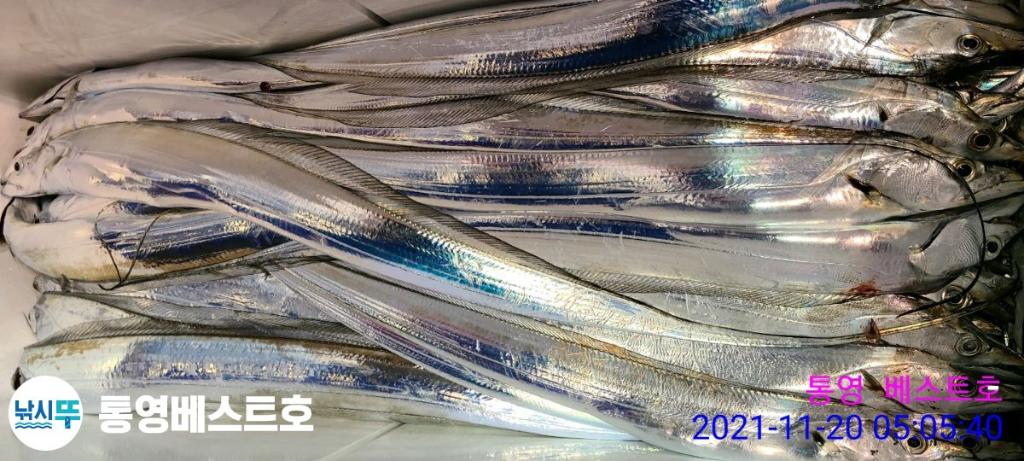 낚시뚜,갈치,풍화중부마을,통영 베스트호,낚시뚜22