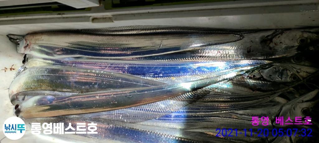 낚시뚜,갈치,풍화중부마을,통영 베스트호,낚시뚜18