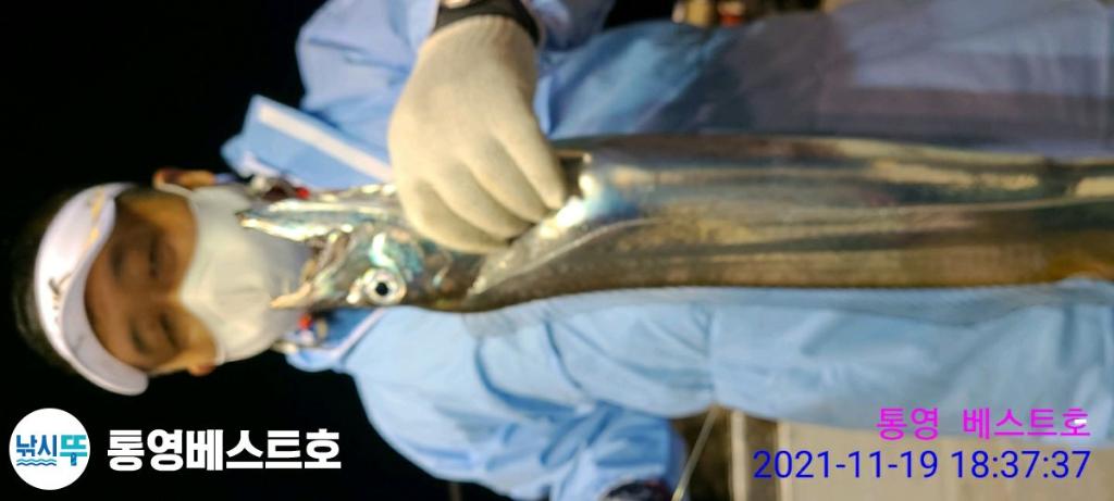 낚시뚜,갈치,풍화중부마을,통영 베스트호,낚시뚜13