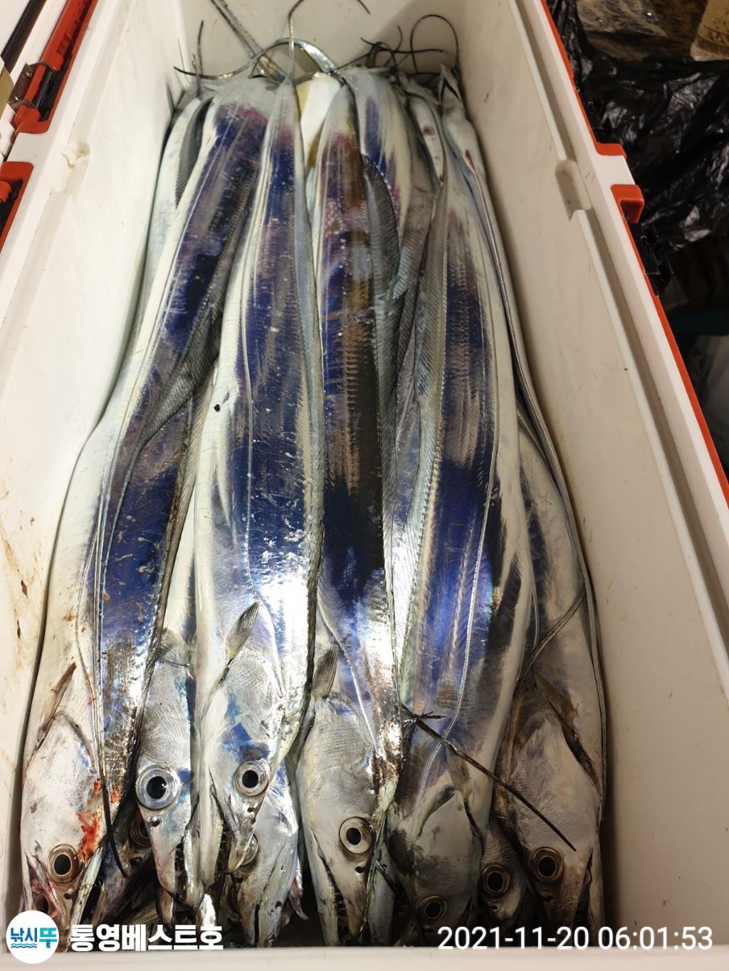 낚시뚜,갈치,풍화중부마을,통영 베스트호,낚시뚜2