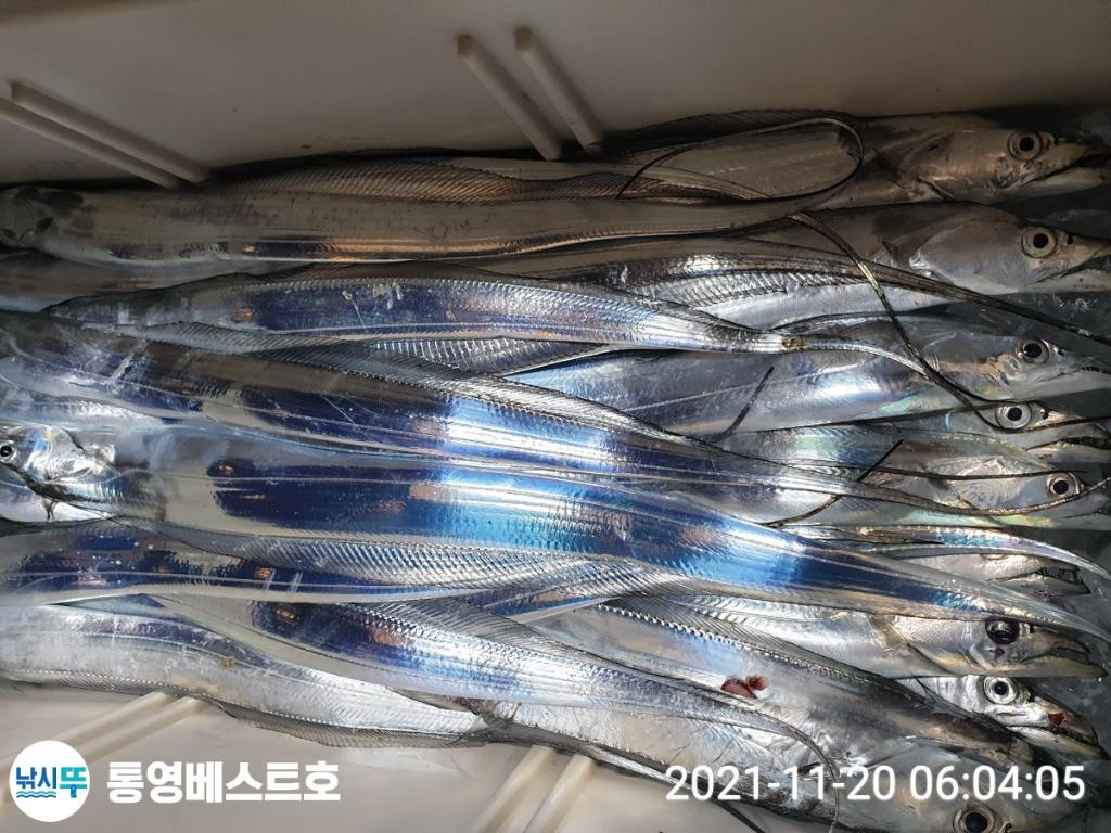 낚시뚜,갈치,풍화중부마을,통영 베스트호,낚시뚜11