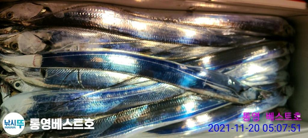 낚시뚜,갈치,풍화중부마을,통영 베스트호,낚시뚜10