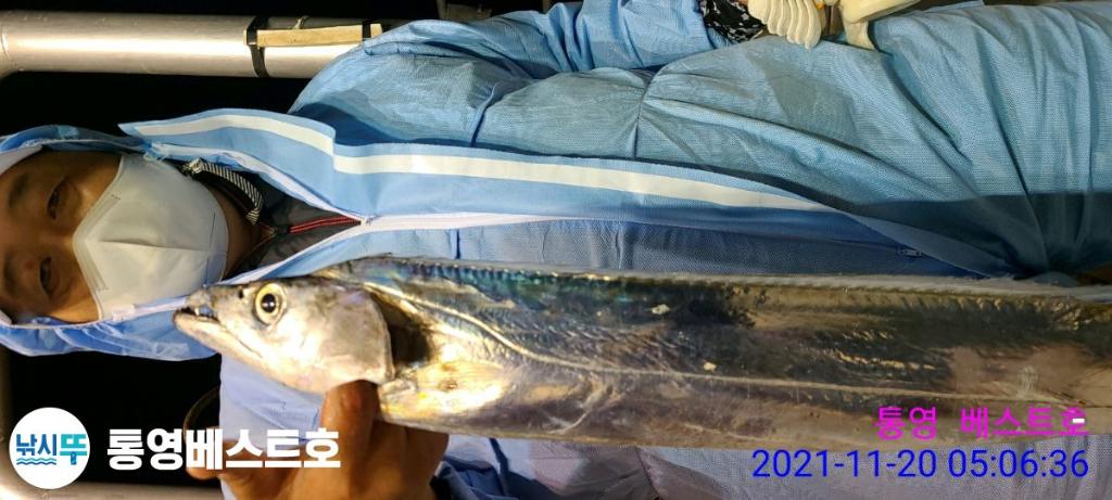 낚시뚜,갈치,풍화중부마을,통영 베스트호,낚시뚜3