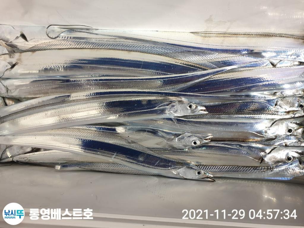 낚시뚜,갈치,풍화중부마을,통영 베스트호,낚시뚜11