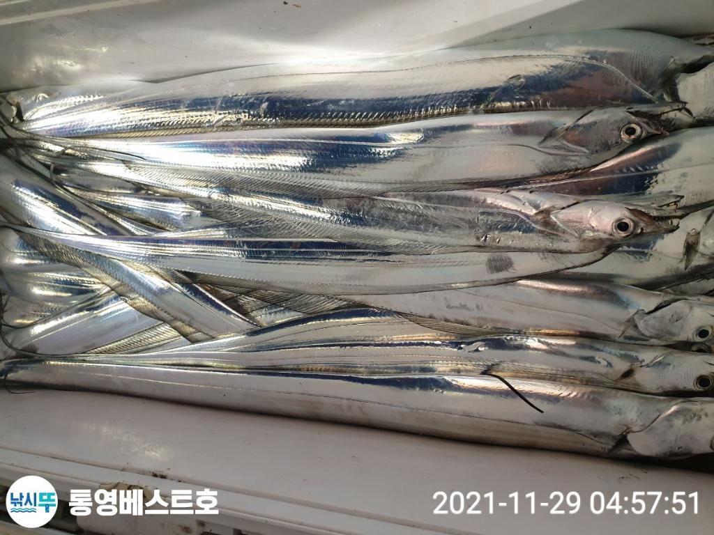 낚시뚜,갈치,풍화중부마을,통영 베스트호,낚시뚜10