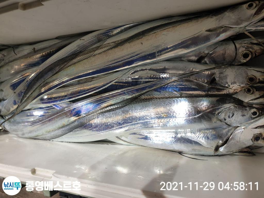 낚시뚜,갈치,풍화중부마을,통영 베스트호,낚시뚜9