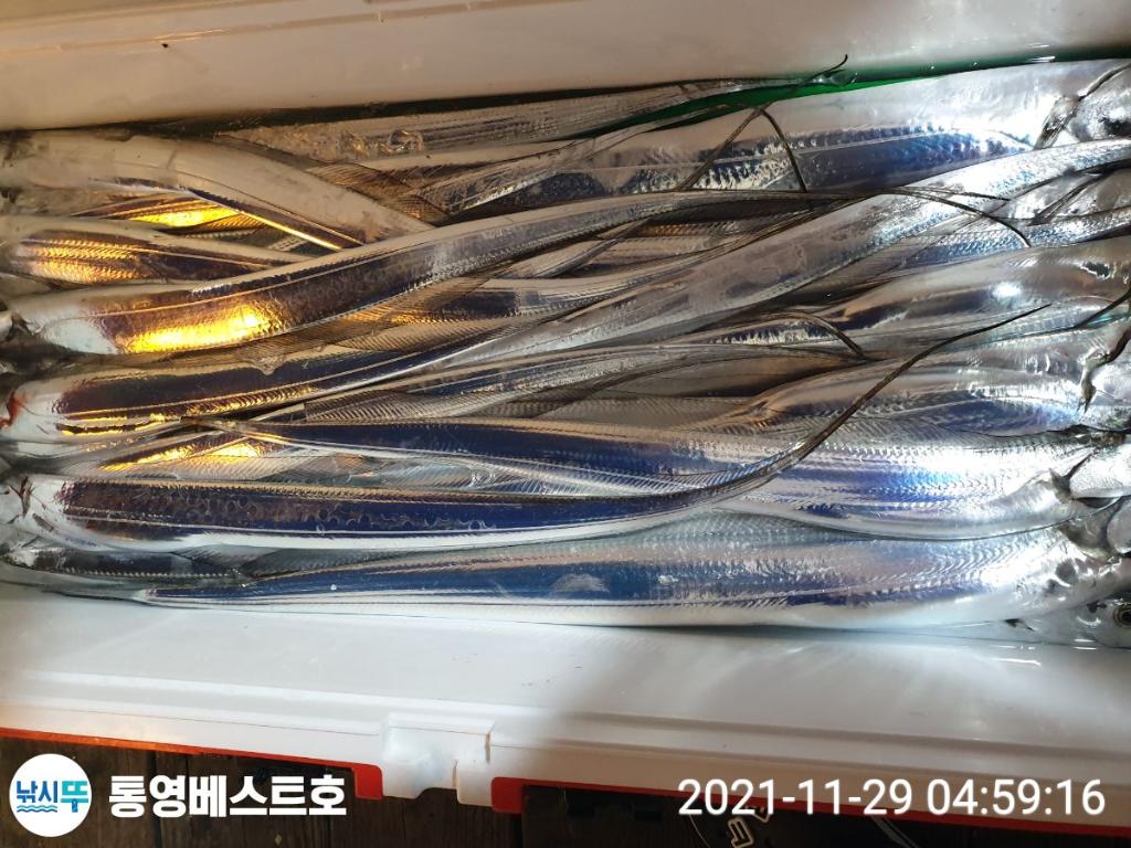 낚시뚜,갈치,풍화중부마을,통영 베스트호,낚시뚜6