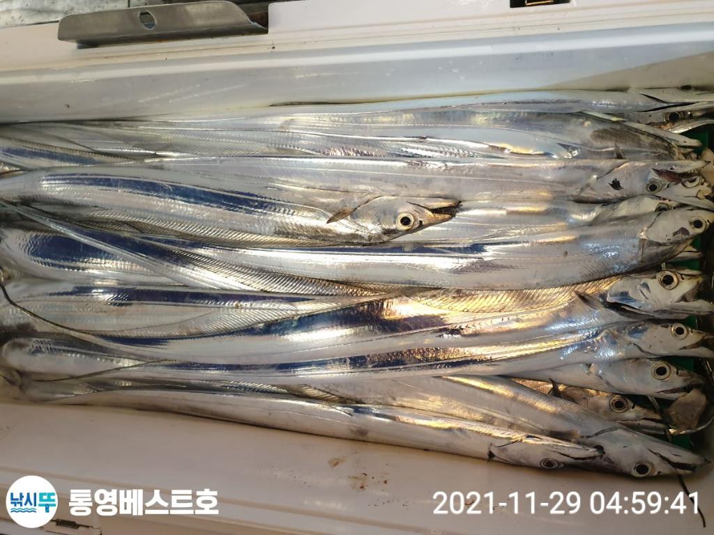 낚시뚜,갈치,풍화중부마을,통영 베스트호,낚시뚜2