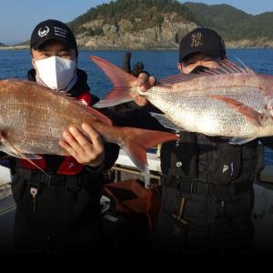 조황, 여수권 참돔 타이 정상출항합니다!!