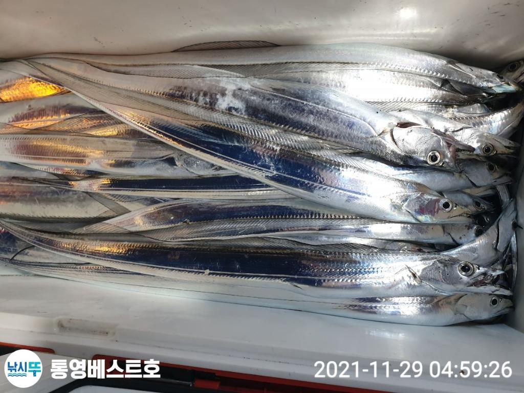 낚시뚜,갈치,풍화중부마을,통영 베스트호,낚시뚜3